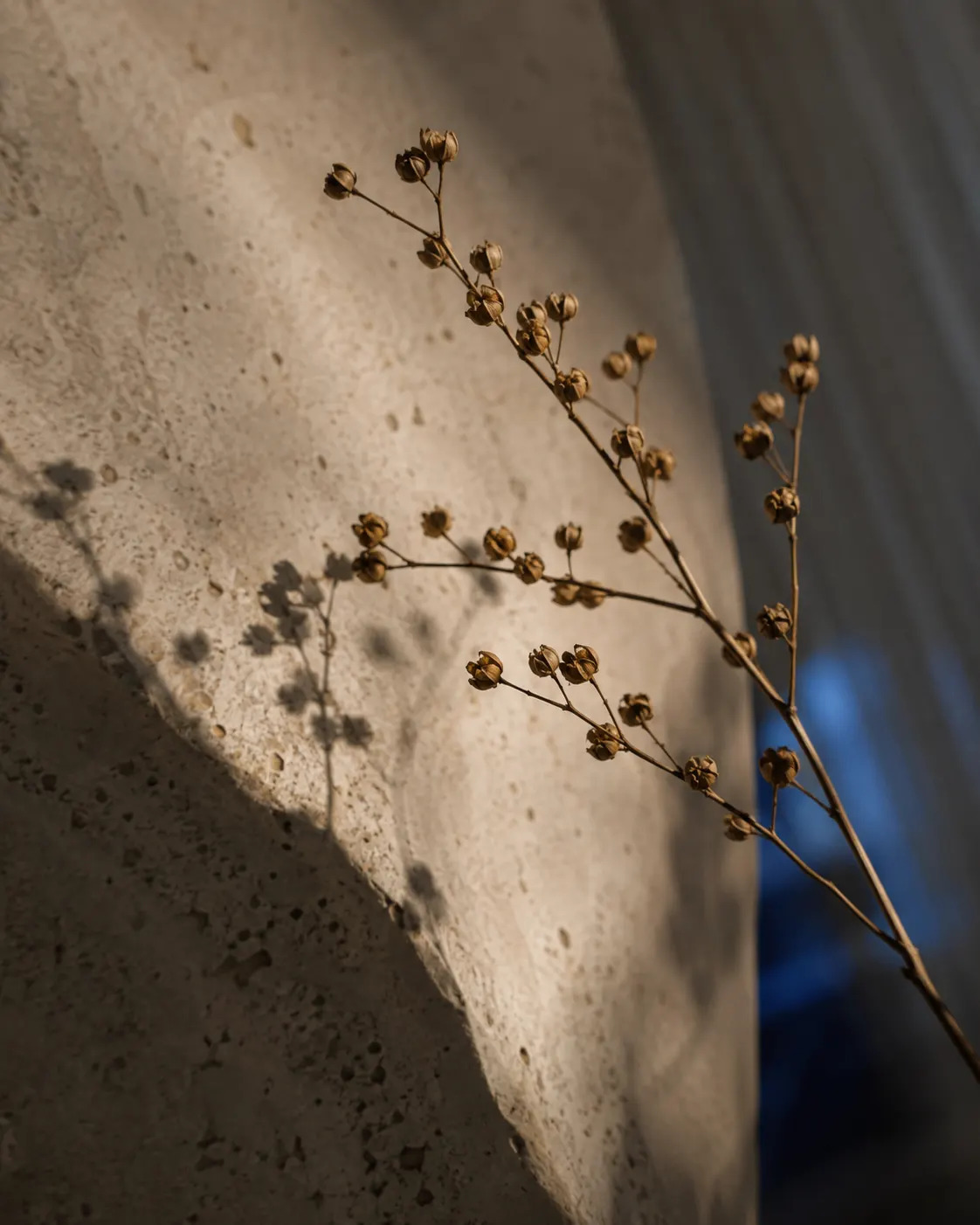 Detalle de ramas y materia natural para inspiración de interiorismo