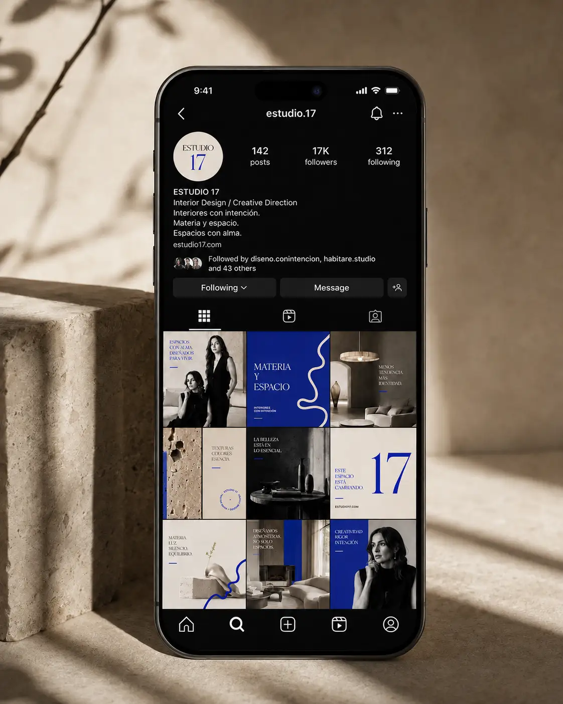 Mockup de Instagram y sistema de contenidos de Estudio 17